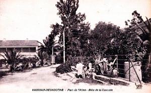 Hammam-Meskoutine - Parc de l'Hotel - Allee de la Cascade
